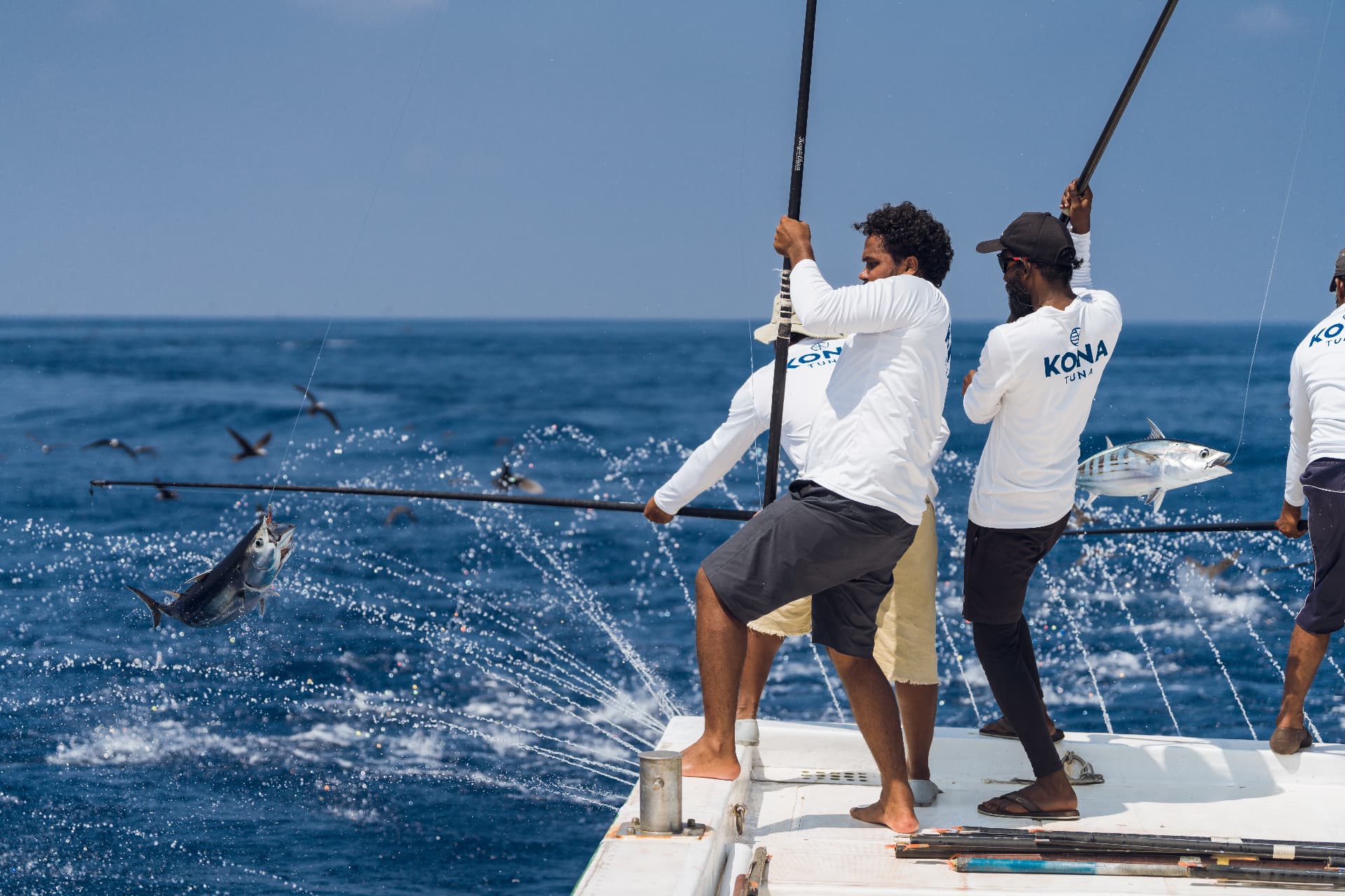 Kona crew fishing pole and line from the stern of the vessel