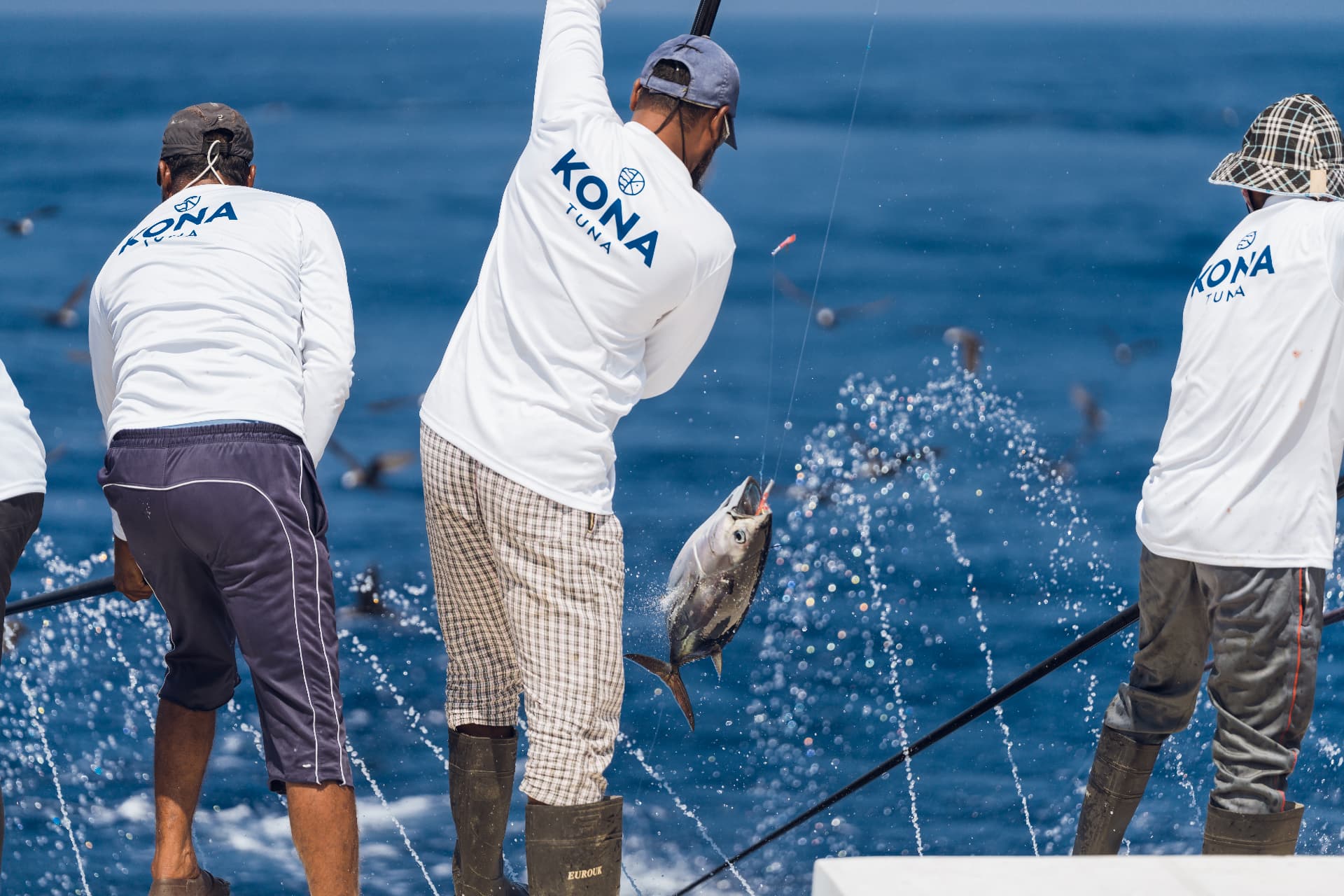 A skipjack tuna lifted aboard one fish at a time